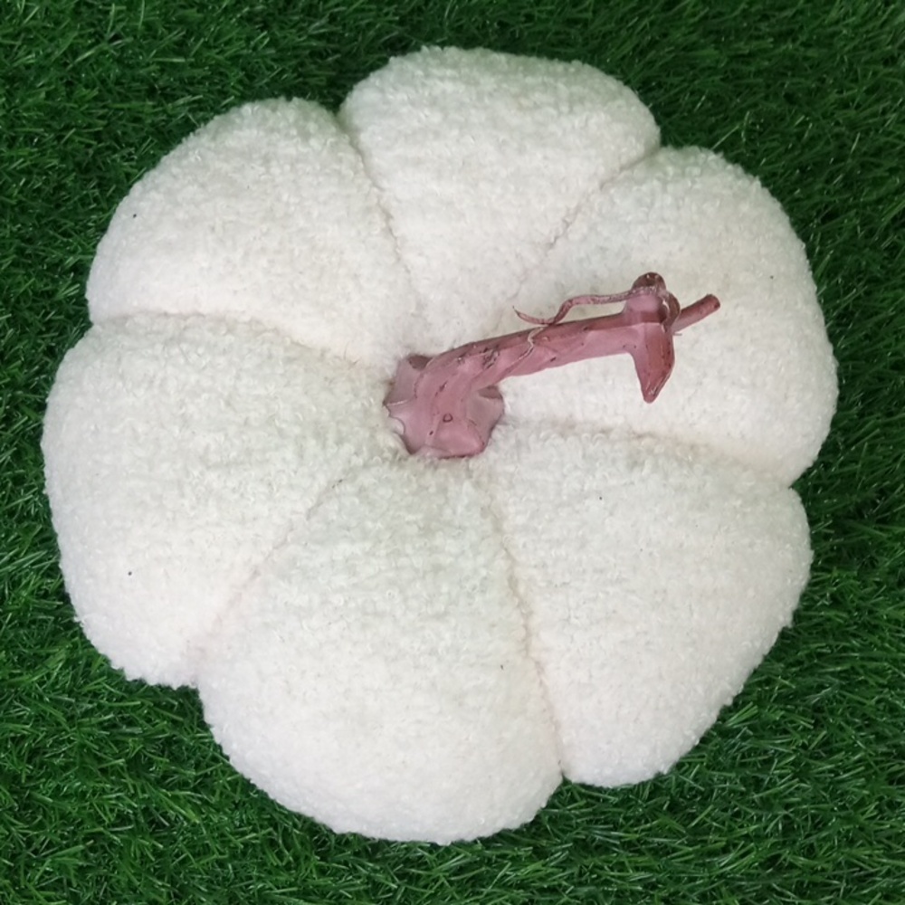 🍂 Fall White Fuzzy Pumpkin - Picture 2 of 5